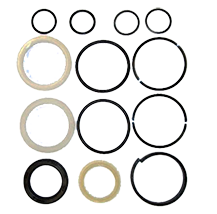 Complete Seal Kit -2.5 Bore (12320)